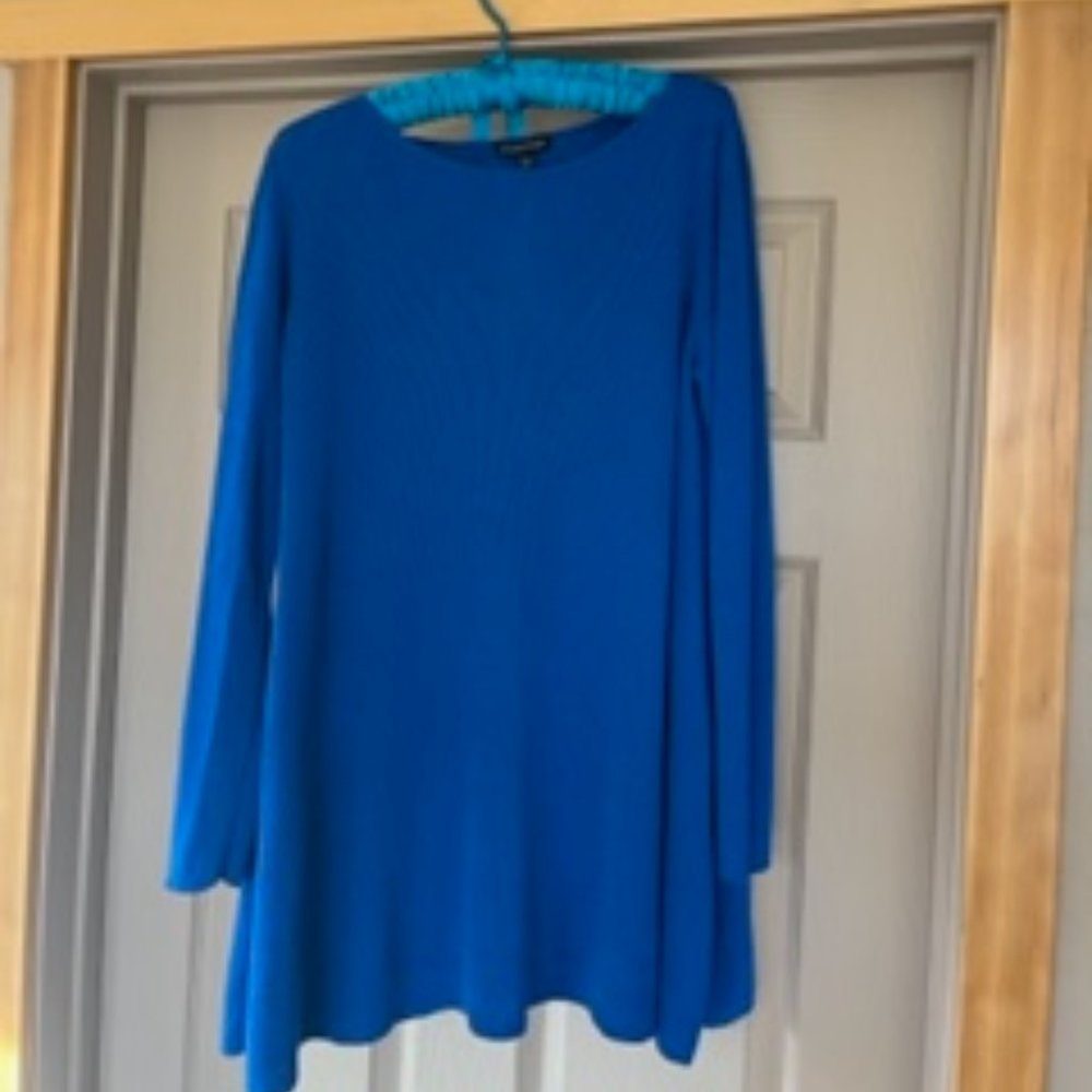 Eileen Fisher long sleeve blue top, size large